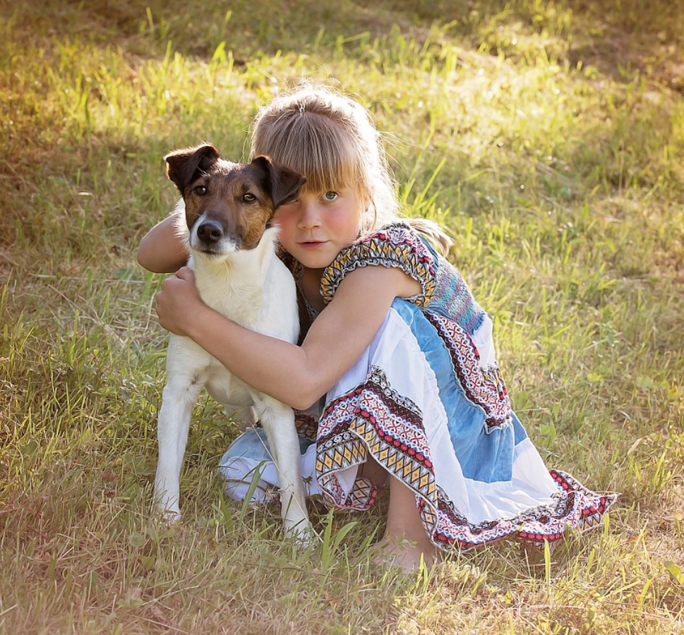 Create and help build positive relationships between children and pets