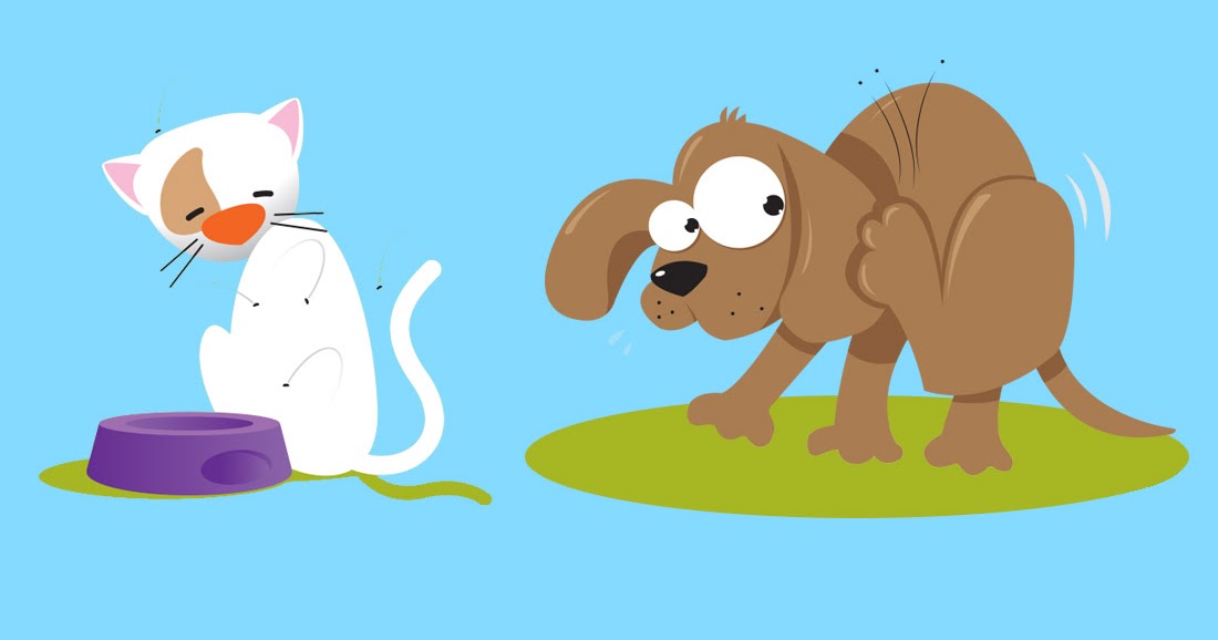 TLC Pet Services, LLC Infestation Prevention