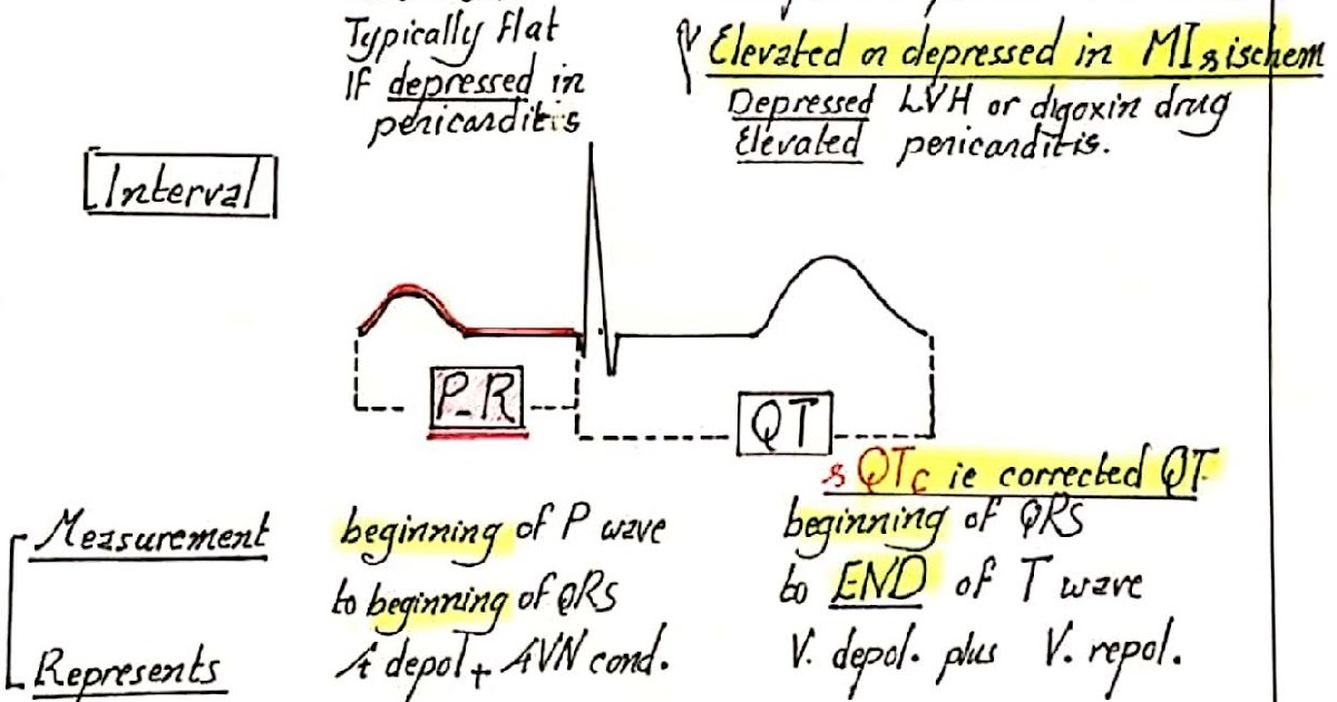شرح عملي لرسم القلب cardio+diagrams تخطيط القلب في كبسولة | دكتور عمار خليل