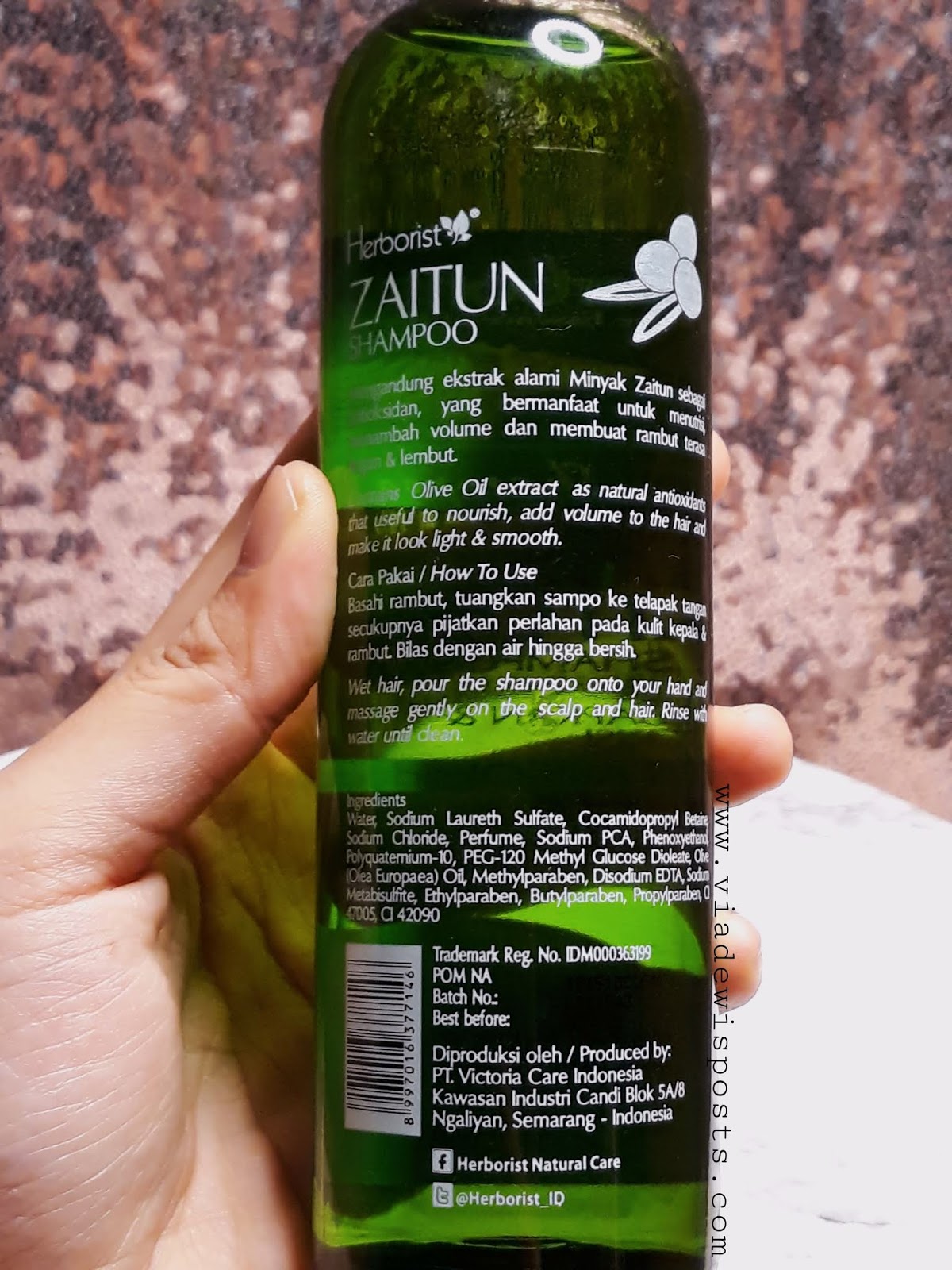 Herborist Zaitun Shampoo Review Shampo Murah Dengan Wangi Yang