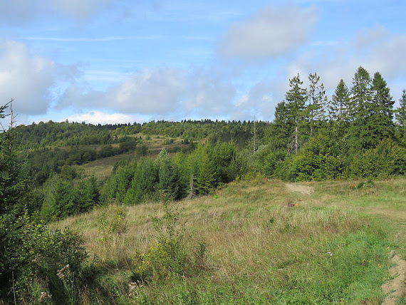 Widok na Kozakową Polanę.