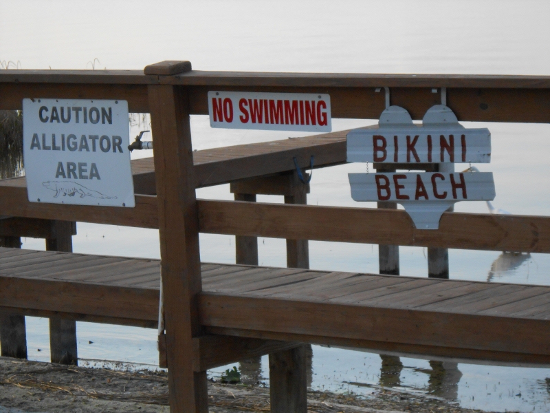 Boomers on the Move Leesburg, Florida Perfect Visit!