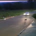 Vídeo mostra motorista desviando carro para atropelar cão de propósito