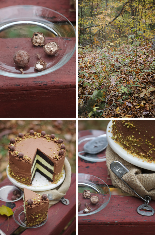 Black TrufflePistachio Chocolate Cake Sprinkle Bakes