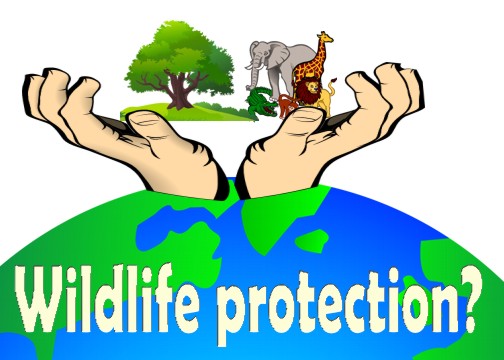 Measures To Strengthen Wildlife Protection