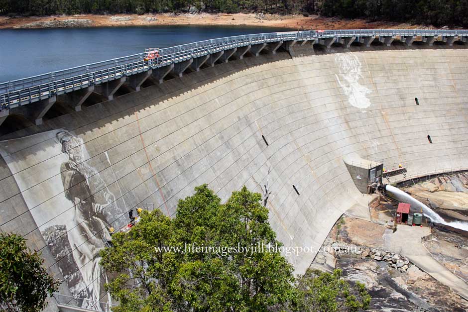 Life Images by Jill Painting the Wellington Dam wall mural, Western