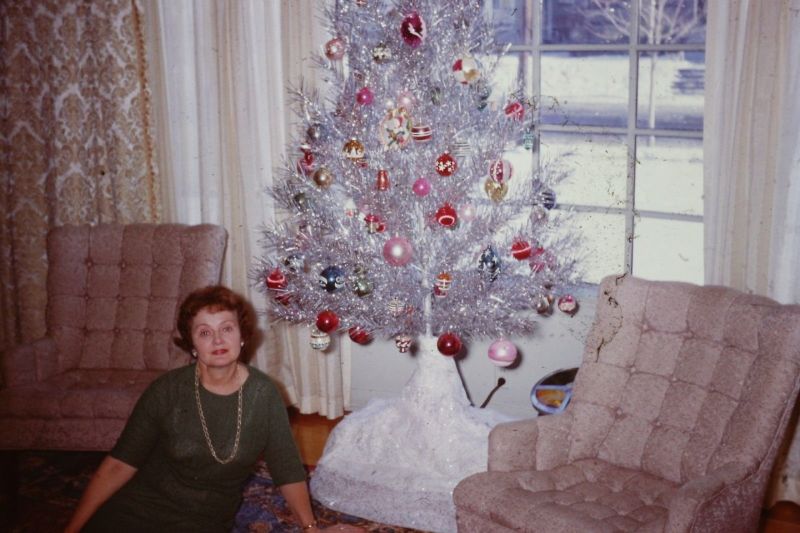 45 Cool Pics Show What People Often Posed With on Their '60s Christmas ...