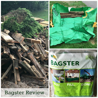 bagster and debris