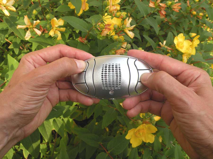 IDEE CADEAU | IDEE CADEAU