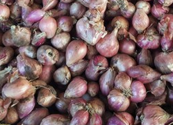 Bawang Goreng Renyah yang Mendunia bawang-goreng-renyah-yang-mendunia