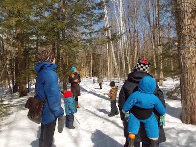 Photo of families in the snow near a forest