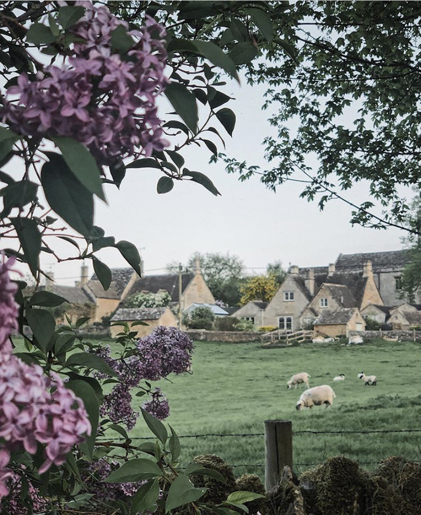 From Instagram | English Country Life with @irenemylife