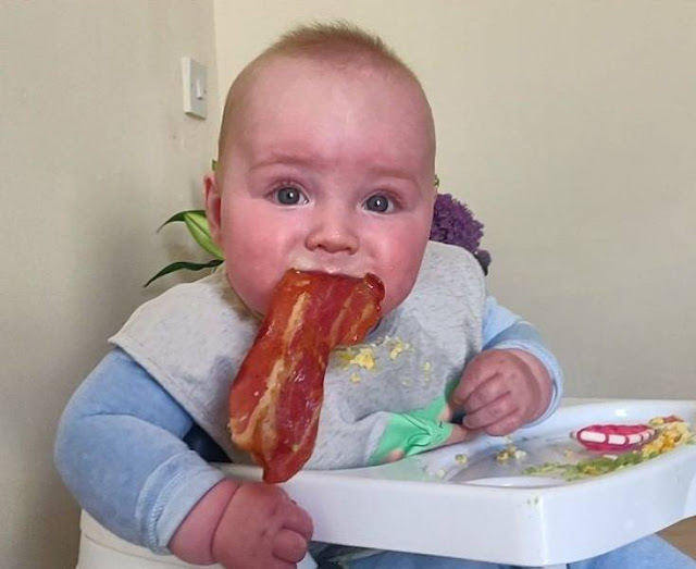 Knuckledraggin My Life Away Wirecutter The Early Years