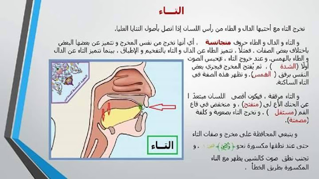 بالصور والفيديو دورة تعليم مخارج الحروف وصفاتها حرف حرف 5