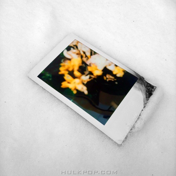 Wooden Noise – Winter nap – Single