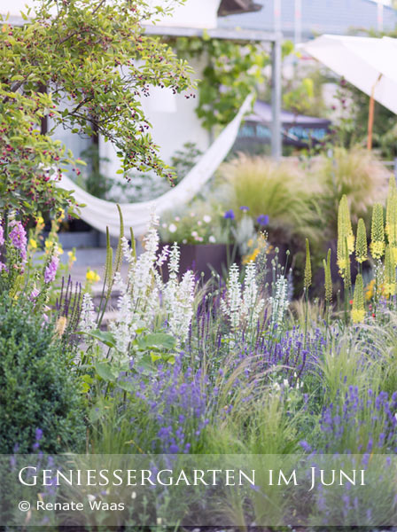 Gartenblog Geniesser Garten 2016