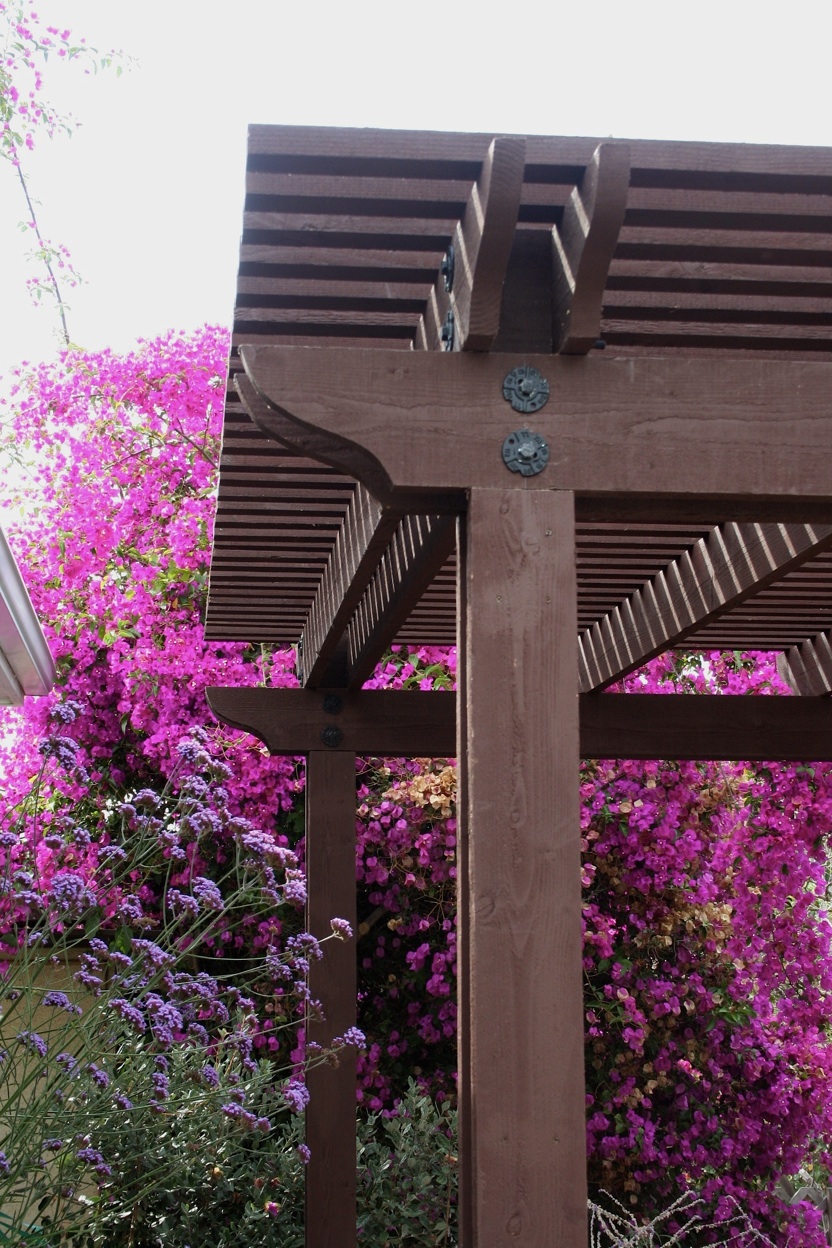 San Diego Patio Covers by PacifiCoastal Design Patio Cover Contractors