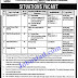 Jobs in Ministry of Science and Technology Govt of Pakistan Nov 2020