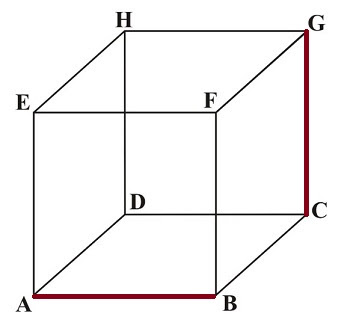 Pasangan Garis Bersilangan Pada Kubus