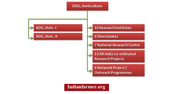 Horticulture Organizational Structure