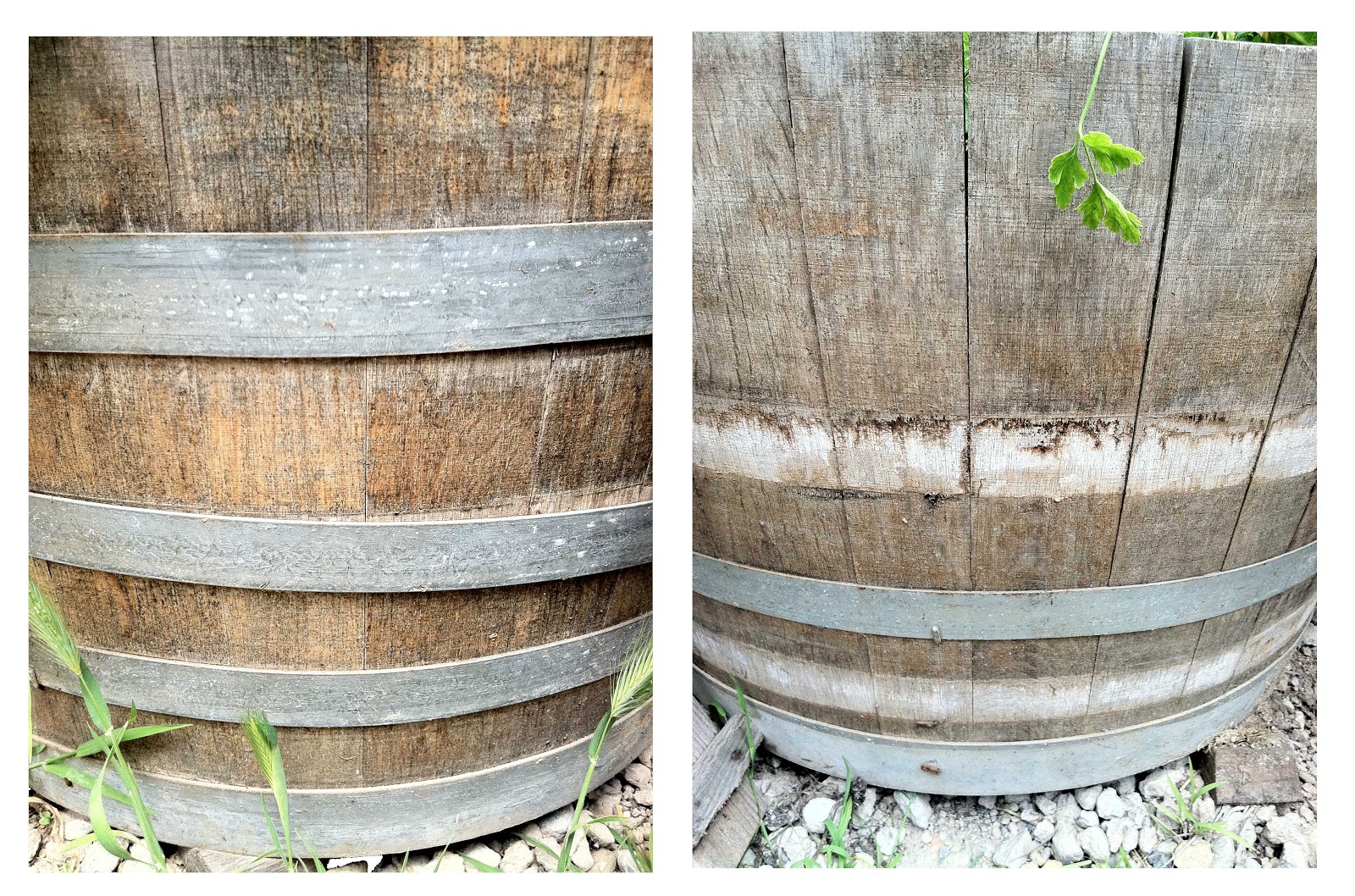 Oulalie Wine barrel walkway