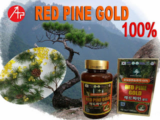Sự thật ít ai biết về tinh dầu thông đỏ bp golden pine