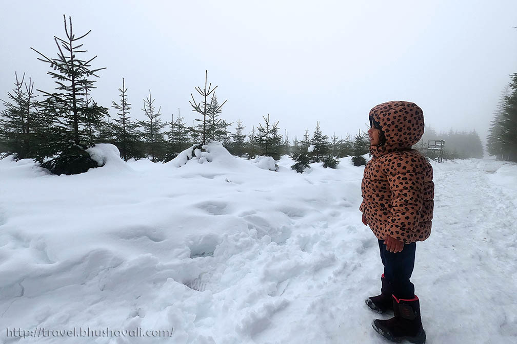 Top 5 Best places to see snow in Belgium My Travelogue Indian