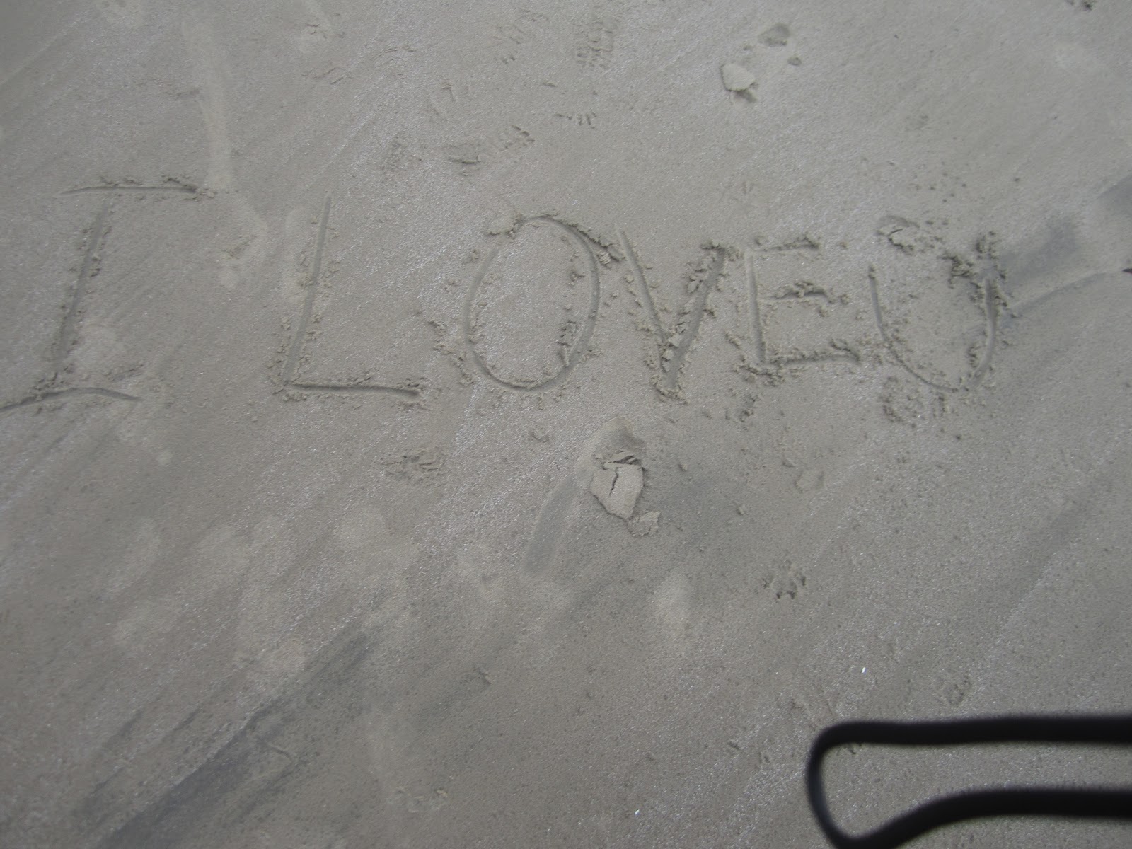 Love & Pugs