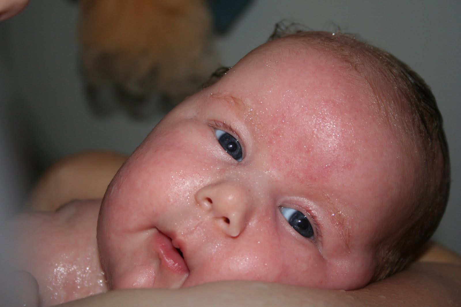 From Here to Eternity Shower vs. Bath