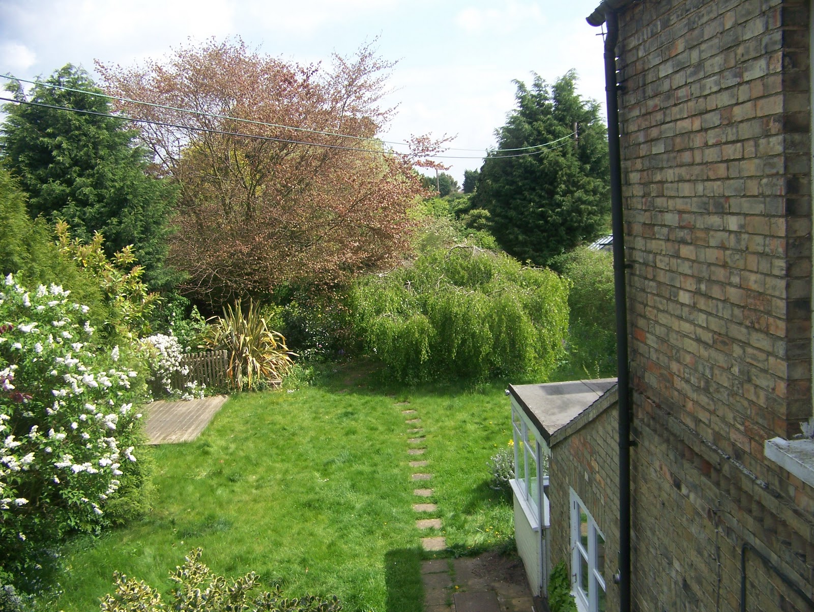 beech tree studio Up the garden path