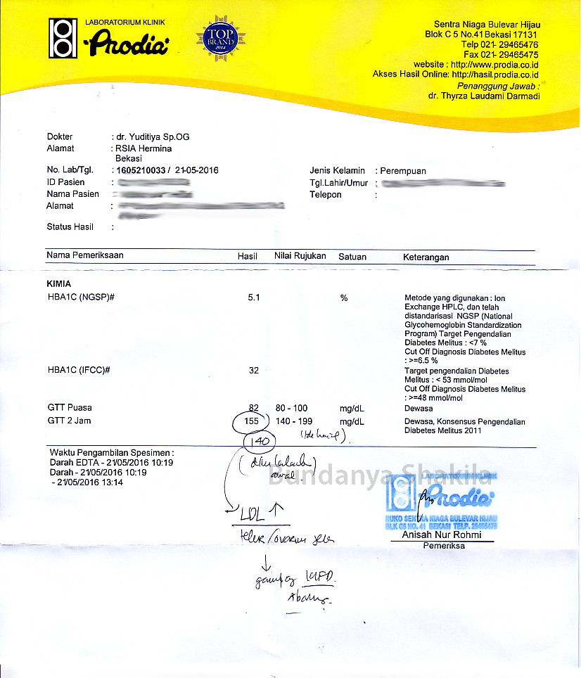 Contoh Hasil Lab Prodia IMAGESEE