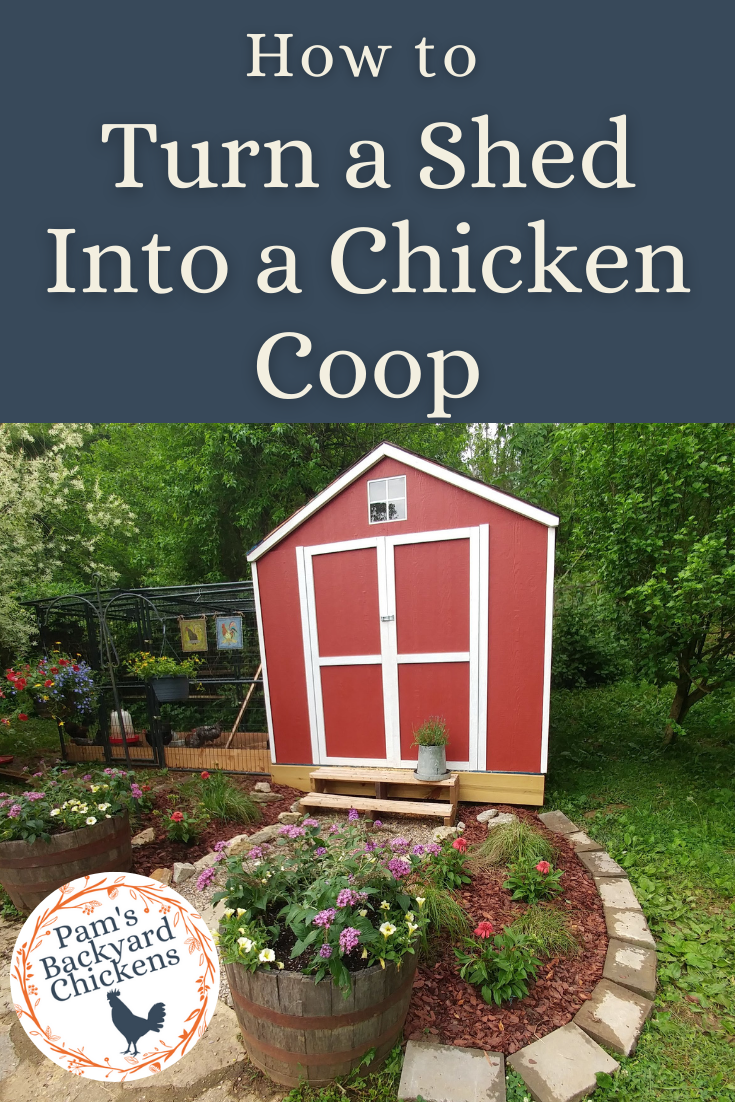 Pam's Backyard Chickens How to Turn a Shed Into a Chicken Coop