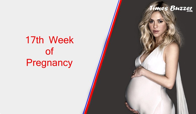 Seventeenth Week of Pregnancy
