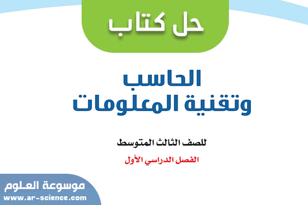 هو شخص يتقن إحدى لغات البرمجة لكي يتخاطب بها مع الحاسب