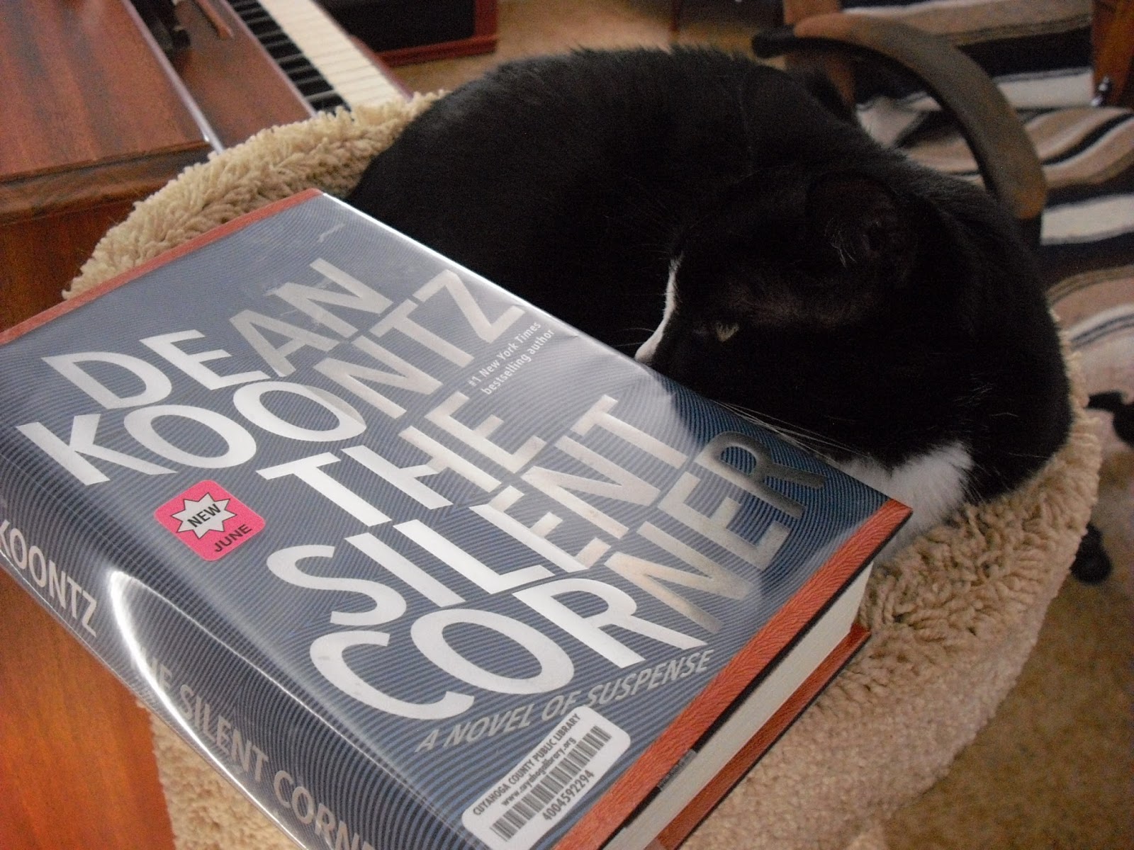 Grab A Book From Our Stack "The Silent Corner" by Dean Koontz