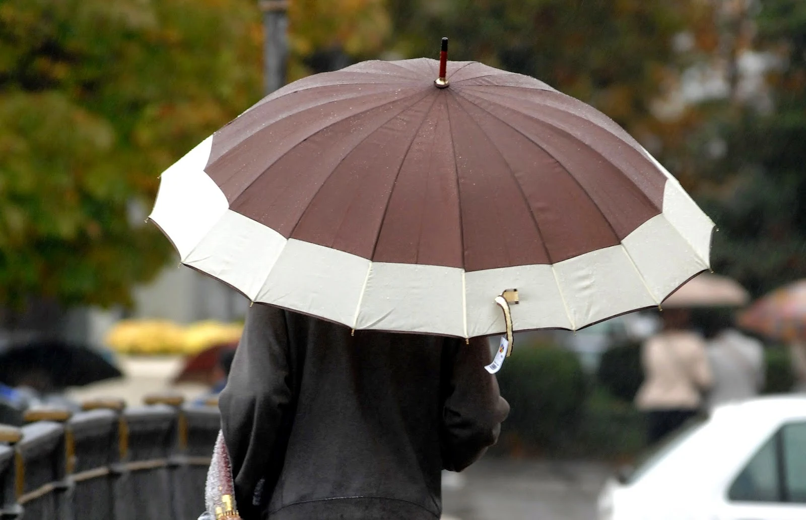 Εύβοια: Αρχίζει με βροχές η εβδομάδα