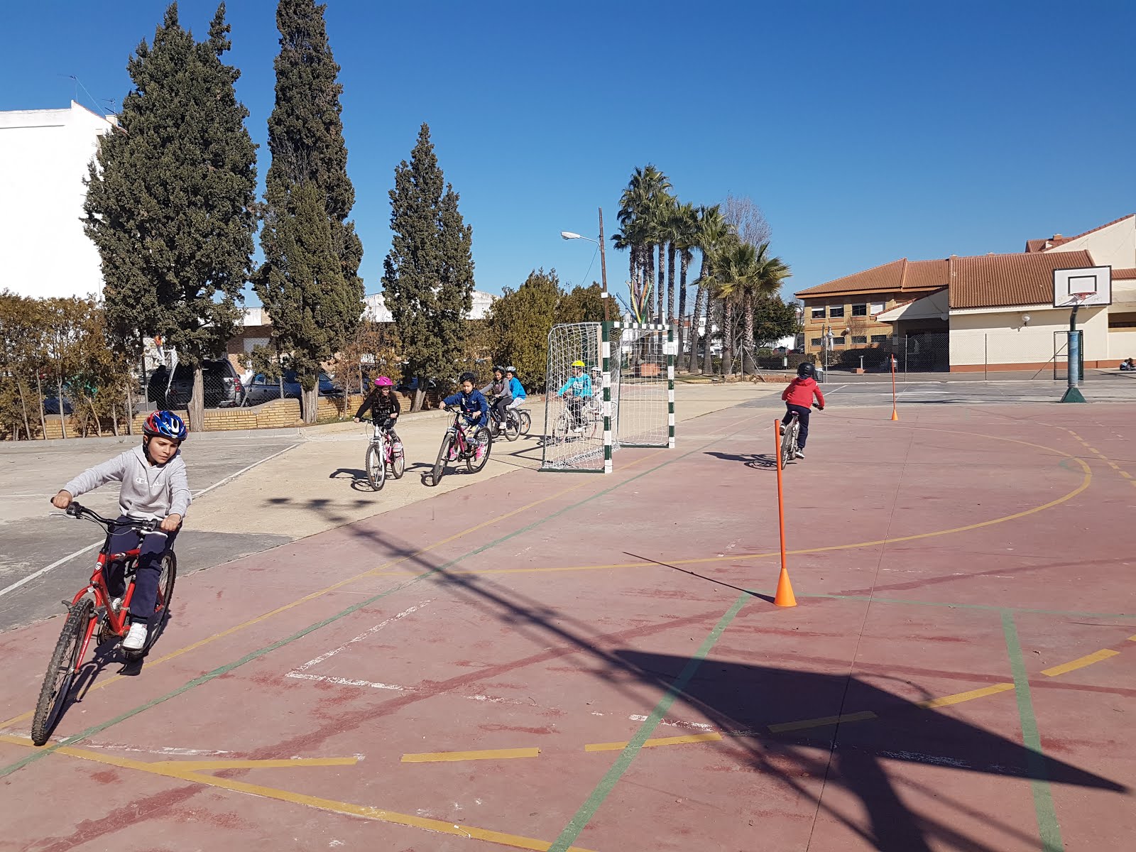 LA RUTA DEL CICLOSTEROL