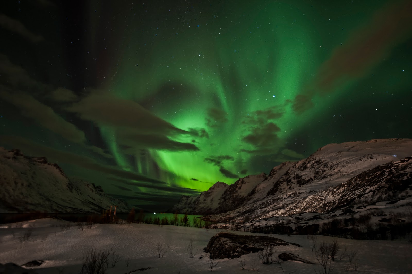 The dazzling display of the Northern Lights over Tromsø, Norway. Photo: Mark Robinson.
