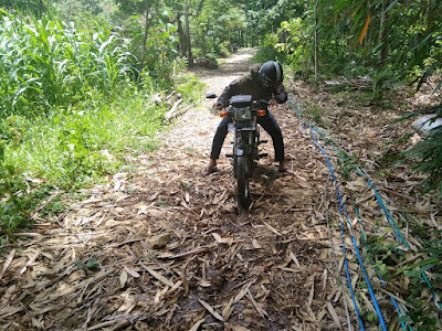 pemandian tapan trenggalek, PESONA TAPAN YANG TERLUPAKAN