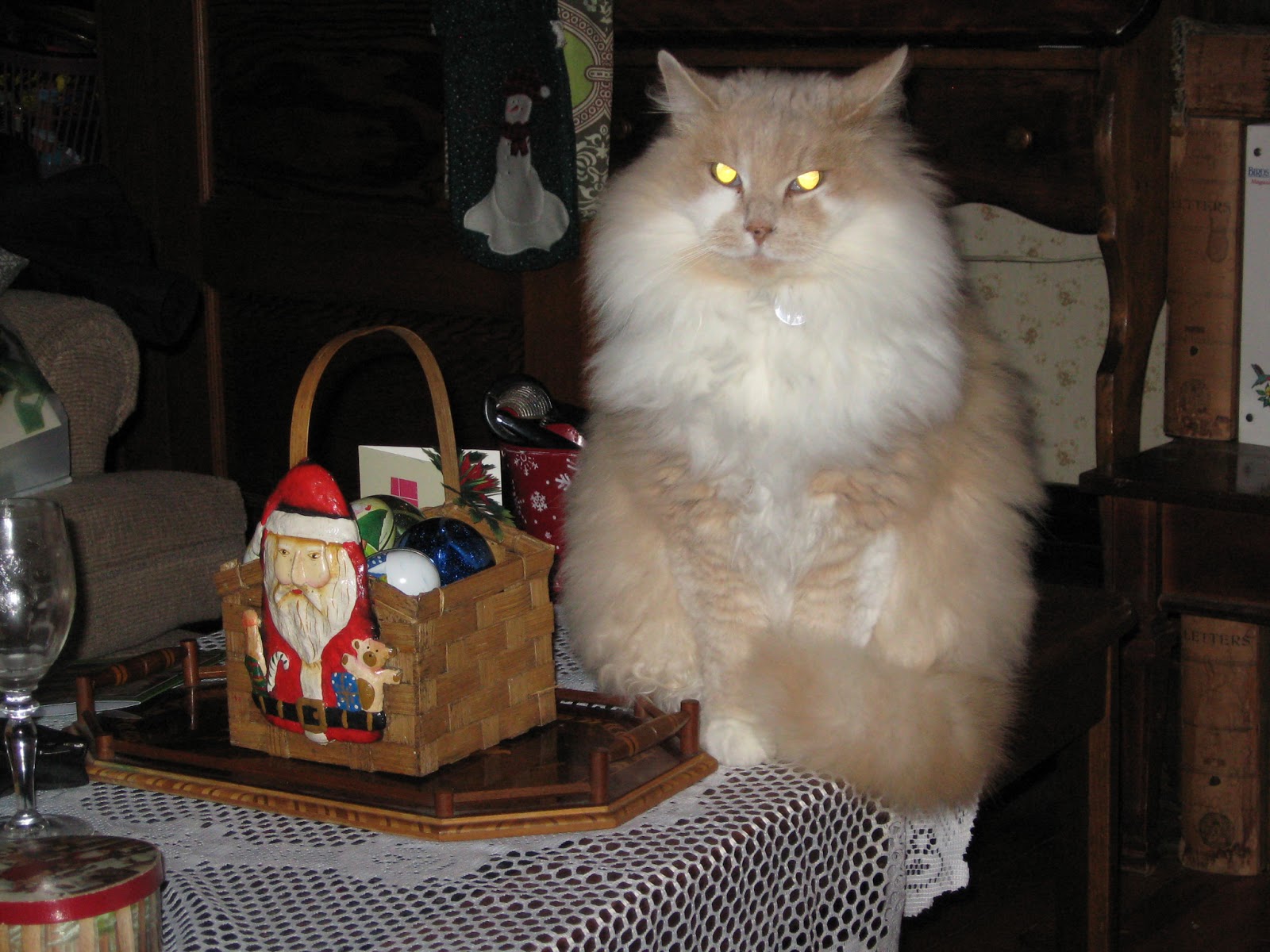 Barney’s Ruff | catself