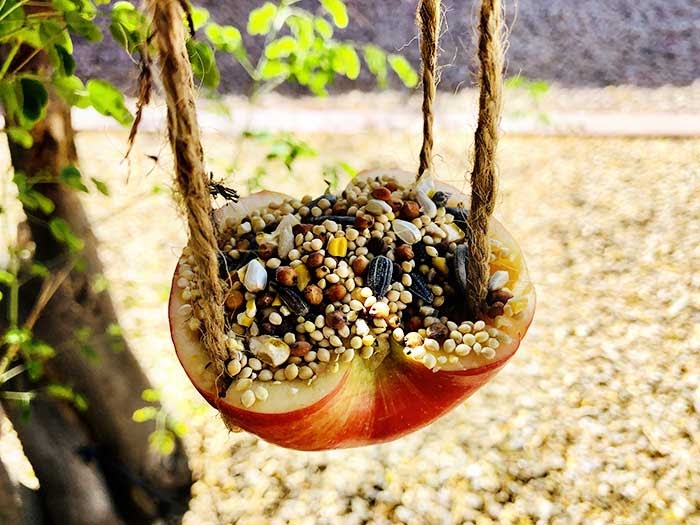 How to Make an Apple Bird Feeder (Easy DIY For Kids!) Koti Beth