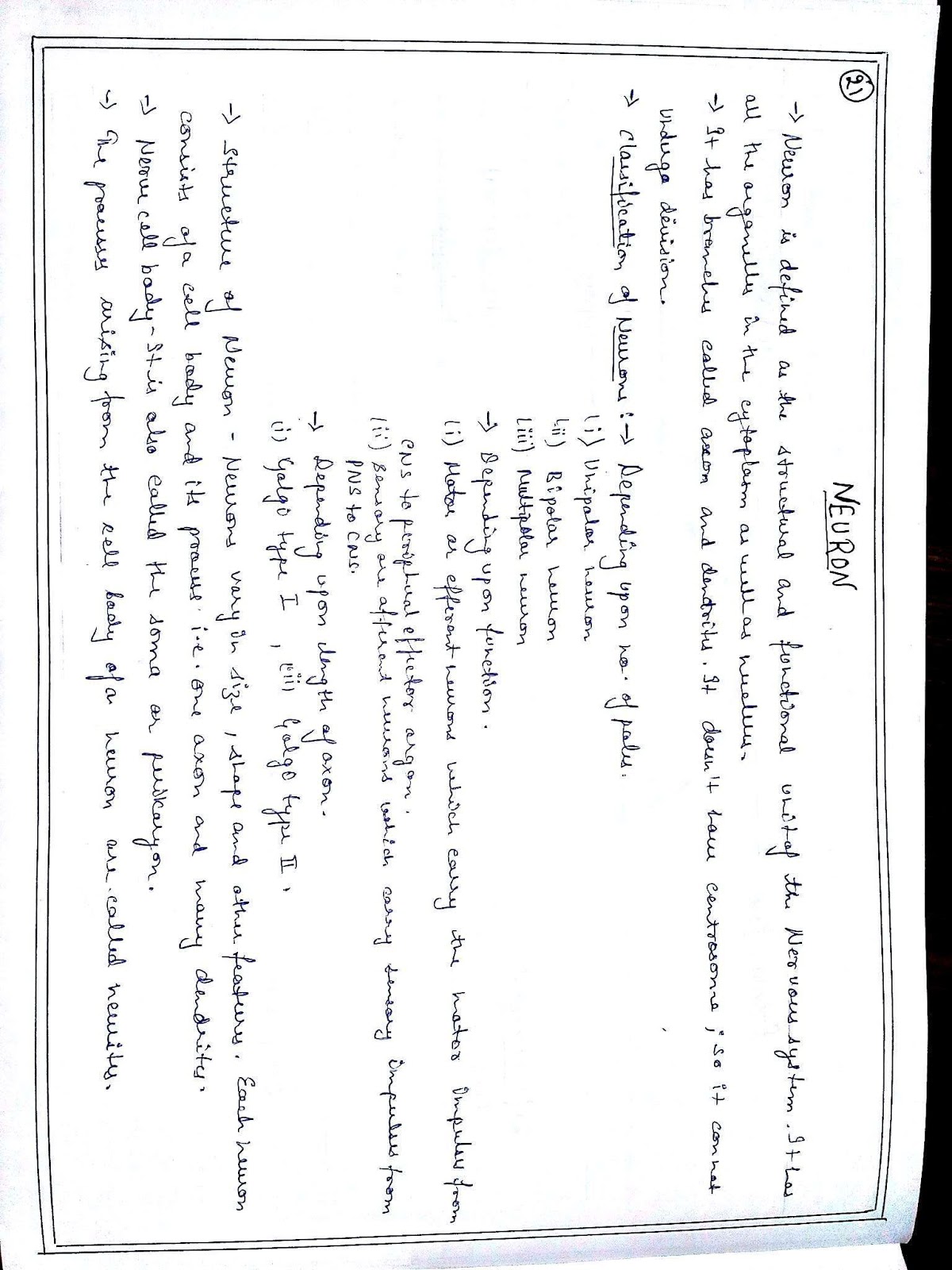 Anatomy Diagram Book