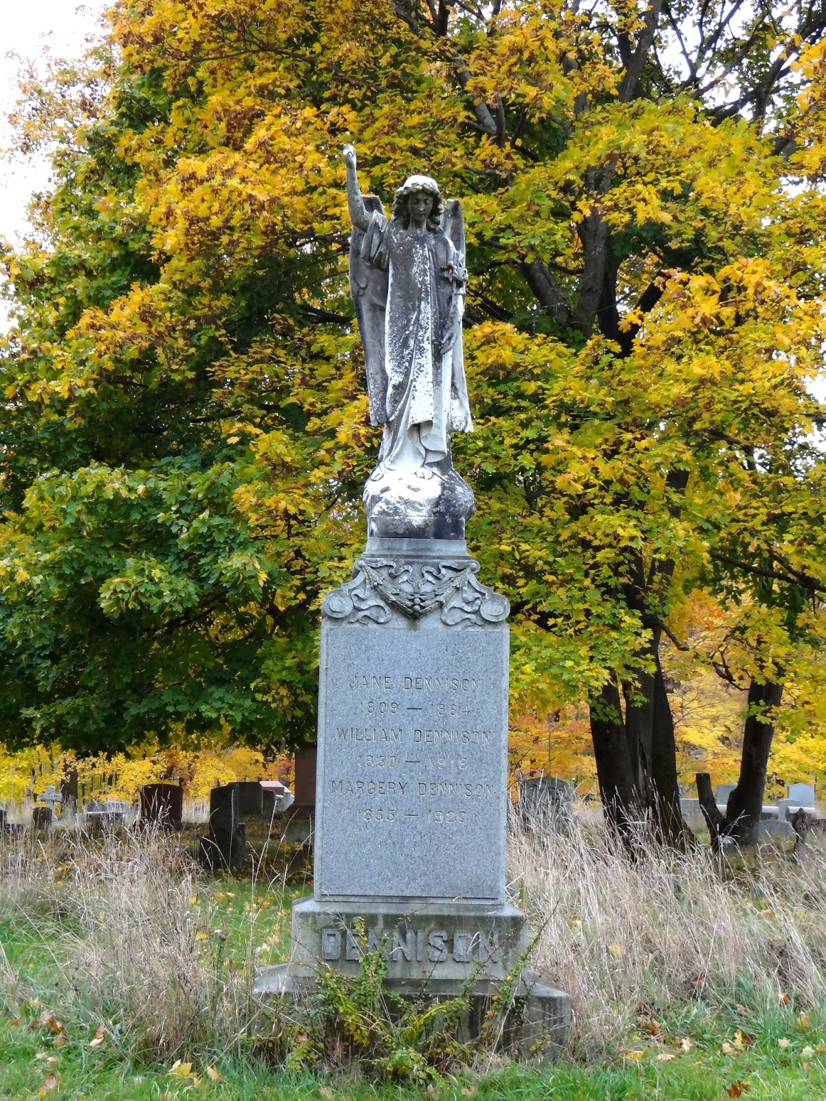 Albany Rural Cemetery Beyond The Graves January 2014