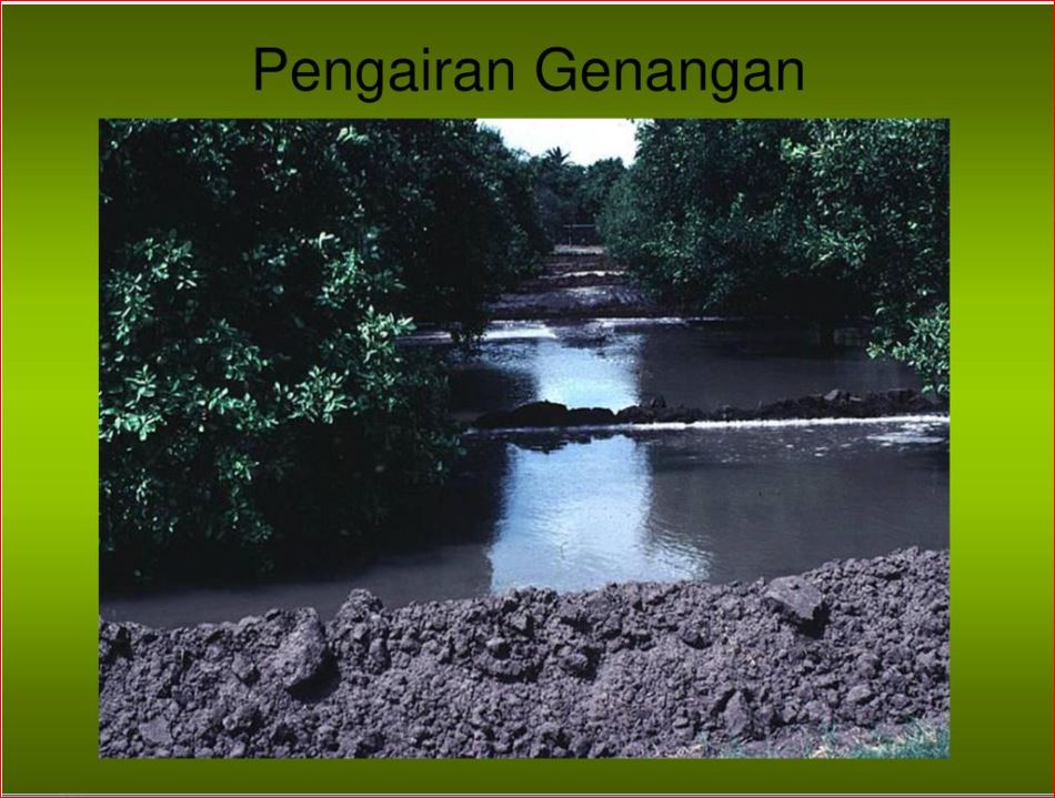 Pengairan Perkebunan Kelapa Sawit ~ BLOG PRODUKTIF ATP & APHP