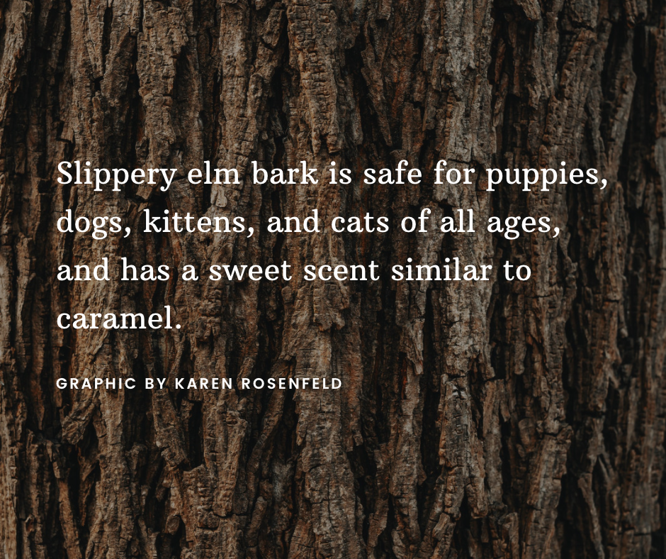 This Herb Helps Ease Tummy Issues and More, Slippery Elm Bark for Dogs