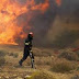  55 αγροτοδασικές πυρκαγιές το τελευταίο 24ωρο 
