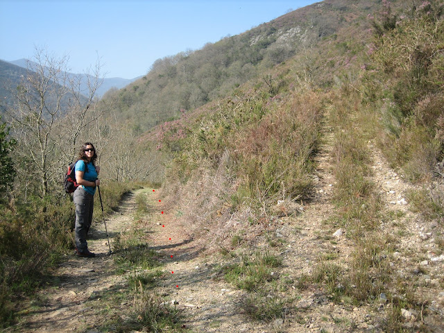 Desviación camino a la izquierda