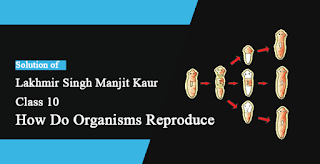Solutions of How do Organisms Reproduce? Lakhmir Singh Manjit Kaur SAQ,  LAQ, MCQ and HOTS Pg No. 169 Class 10 Biology