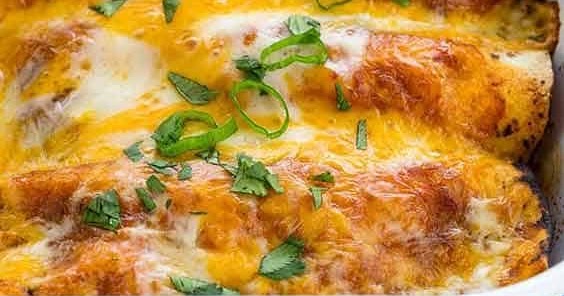 Chicken Enchiladas - dessert recipes diabetics