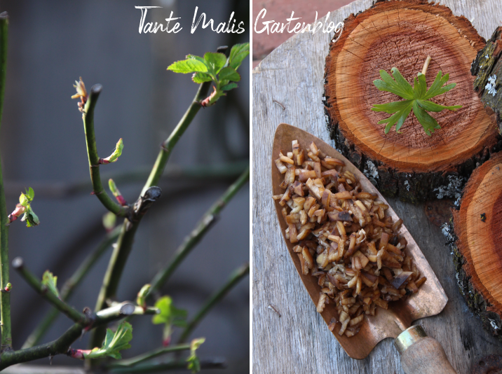 Mein Garten ist BIO was sonst?